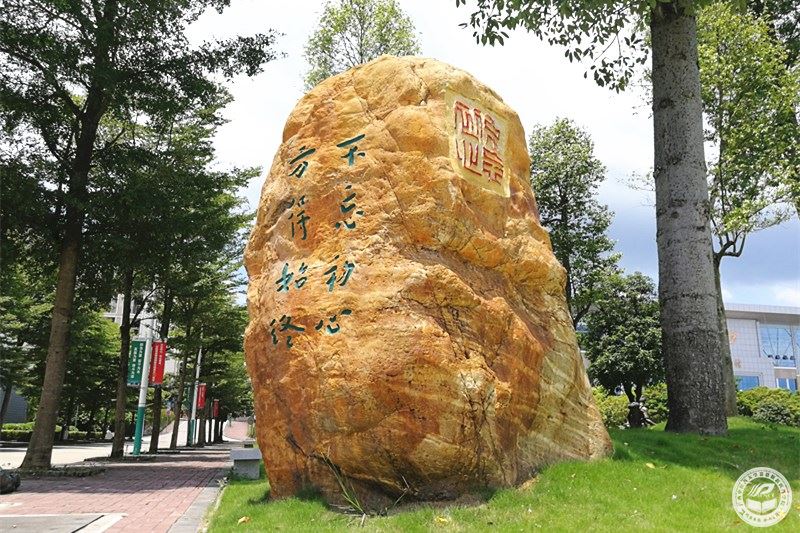 44.jpg