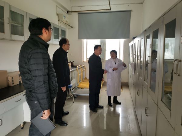 压缩.jpg